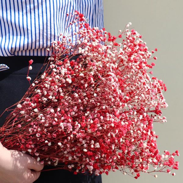 decorative flowers & wreaths 110g/bag natural fresh dried preserved real gypsophila baby's breath forever branch for home decor
decorative flowers & wreaths 110g/bag natural fresh dried preserved real gypsophila baby's breath forever branch for home decor