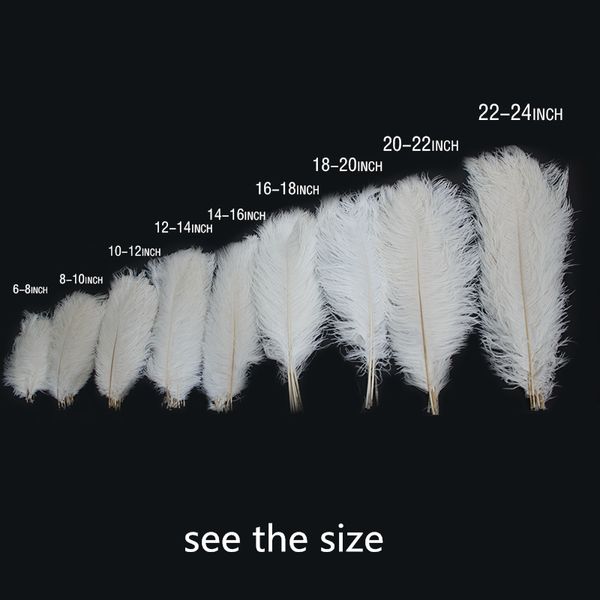 white ostrich feathers 15-75cm for craft wedding party supplies carnival dancer decoration plumages
white ostrich feathers 15-75cm for craft wedding party supplies carnival dancer decoration plumages