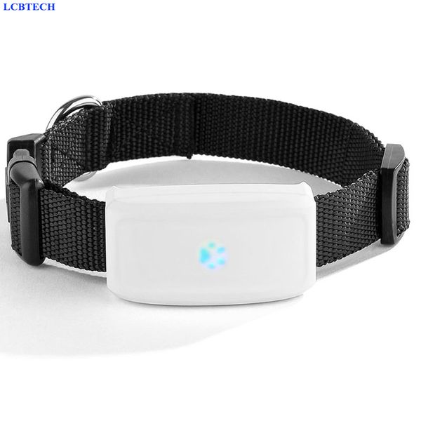 tkstar mini waterproof pets gsm gps locator tracker rastreador tracking for pet dog cat real time app track alarm device
tkstar mini waterproof pets gsm gps locator tracker rastreador tracking for pet dog cat real time app track alarm device