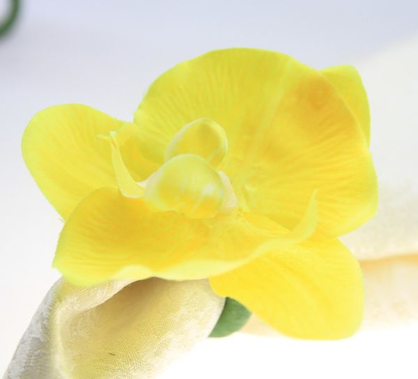 butterfly flower napkin ring wedding holiday decoration , napkin holder 12 pcs
butterfly flower napkin ring wedding holiday decoration , napkin holder 12 pcs