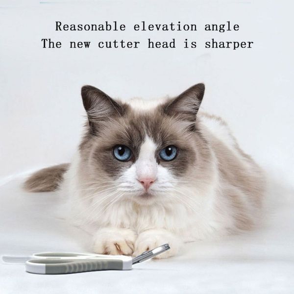 pet nail clippers cat nail scissors pets stainless steel nail grooming trimmer portable scissors trim nails pet supplies 2 2 dog grooming
pet nail clippers cat nail scissors pets stainless steel nail grooming trimmer portable scissors trim nails pet supplies 2 2 dog grooming