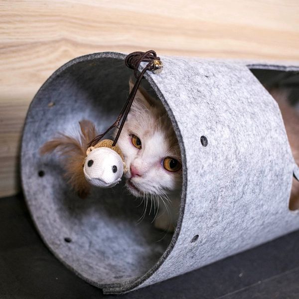 diy войлок ткань cat tunnel белл мыши перо игрушка cat игрушка pet мат войлок ткань cat tunnel игрушка игра с войлоком supplies ткани малень
diy войлок ткань cat tunnel белл мыши перо игрушка cat игрушка pet мат войлок ткань cat tunnel игрушка игра с войлоком supplies ткани малень