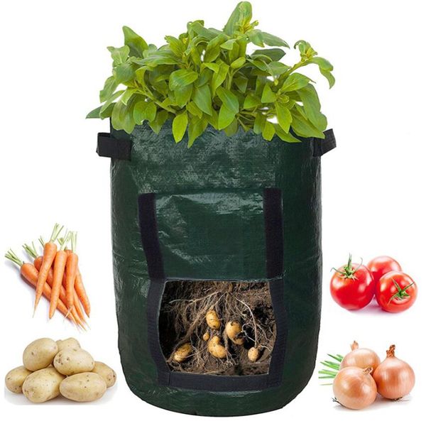 potato grow bags garden plant bags 7 gallon potato planter bags with flap and handles for planting vegetables taro radish
potato grow bags garden plant bags 7 gallon potato planter bags with flap and handles for planting vegetables taro radish