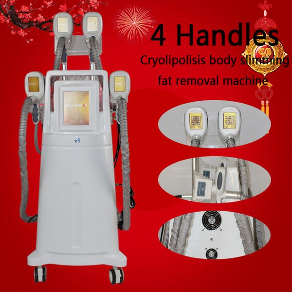 4 ручки cryolipolysis тучная замерзая холодное ваяя cryolipolysis уменьшая машину тела
4 ручки cryolipolysis тучная замерзая холодное ваяя cryolipolysis уменьшая машину тела