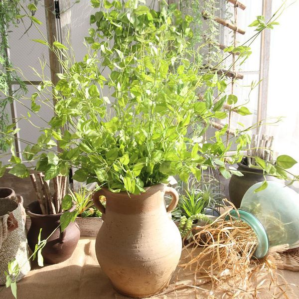 flower vine/rattan artificial plant leaves bonsai vitality silk green wicker diy flower arranging accessories plant df46260
flower vine/rattan artificial plant leaves bonsai vitality silk green wicker diy flower arranging accessories plant df46260