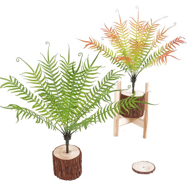 simulation boston wire fern green plant artificial plastic fake hippocampus grass wall hanging bonsai home garden decoration
simulation boston wire fern green plant artificial plastic fake hippocampus grass wall hanging bonsai home garden decoration