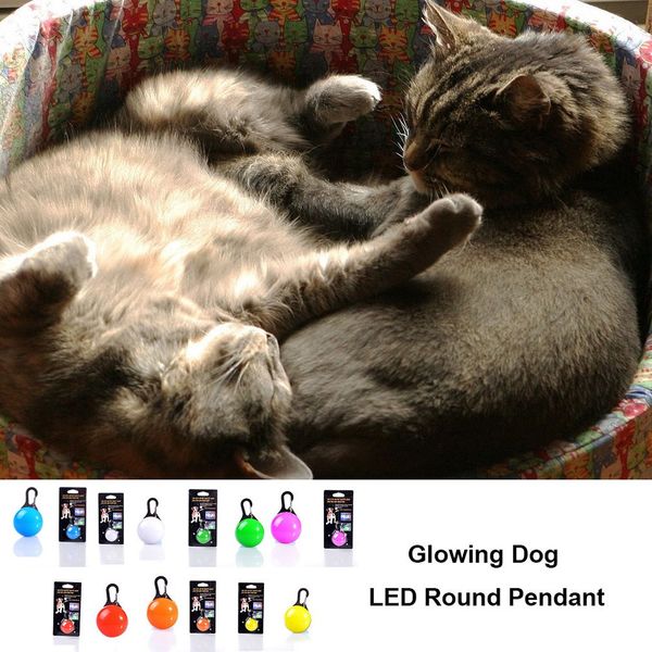 cute dogs glowing collars pet dog necklace round pendants flashing led collar safety luminous dog collar for small medium dogs
cute dogs glowing collars pet dog necklace round pendants flashing led collar safety luminous dog collar for small medium dogs