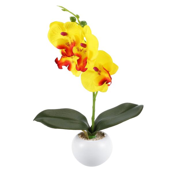 jeyl четыре orchidee бабочки мясистого бонсая цветок креативных аксессуары организация желтый зоотоваров дом и сад
jeyl четыре orchidee бабочки мясистого бонсая цветок креативных аксессуары организация желтый зоотоваров дом и сад