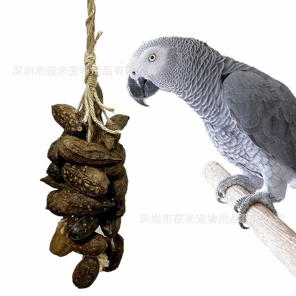 large parrot gnaw toys natural fruit gnawing string nut string parrot articles bird toys 260g
large parrot gnaw toys natural fruit gnawing string nut string parrot articles bird toys 260g