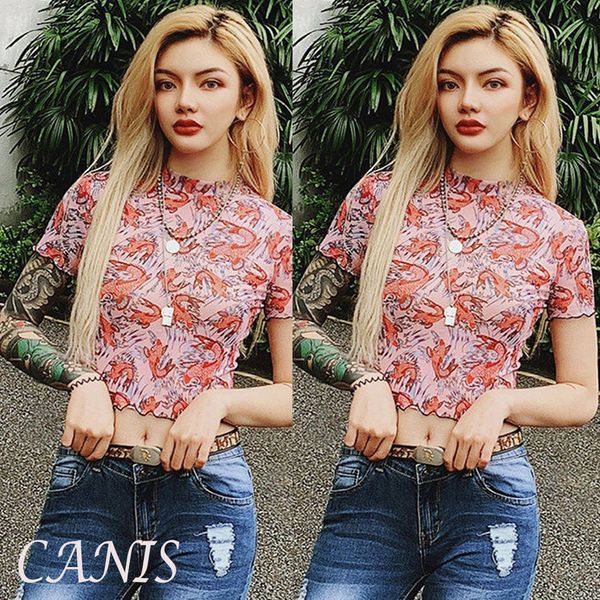 hirigin new fashion women see-through sheer mesh fishnet t-shirt crop cute printed female summer mesh harajuku, White
hirigin new fashion women see-through sheer mesh fishnet t-shirt crop cute printed female summer mesh harajuku, White