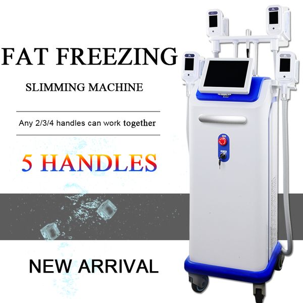 fat ing slimming machine cryolipolysis body liposuction 5 handle e cryolipolysis lipo cryo cryotherapy fat ing machine
fat ing slimming machine cryolipolysis body liposuction 5 handle e cryolipolysis lipo cryo cryotherapy fat ing machine