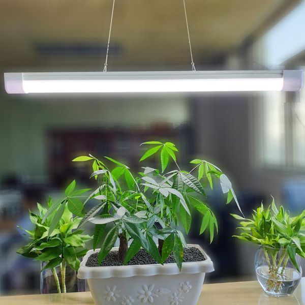ra80 led utility shop light 4ft integrated bar fixture for garage, 50w equivalent 250w high cri , surface + suspension mount led fixtures
ra80 led utility shop light 4ft integrated bar fixture for garage, 50w equivalent 250w high cri , surface + suspension mount led fixtures