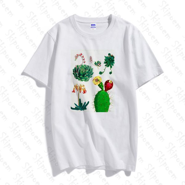 delicate succulents women tshirt harajuku tumblr kawaii korean style cotton short sleeve plus size skipoem streetwear clothes, White
delicate succulents women tshirt harajuku tumblr kawaii korean style cotton short sleeve plus size skipoem streetwear clothes, White