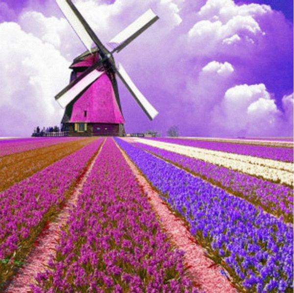 full square/round drill 5d diy diamond painting kits"lavender windmill" cross stitch mosaic home decor crafts art experience toys
full square/round drill 5d diy diamond painting kits"lavender windmill" cross stitch mosaic home decor crafts art experience toys