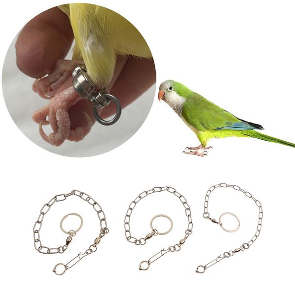 2 pcs anklet ring and stainless steel foot chain design for parrot cockatiels peony harness accessories
2 pcs anklet ring and stainless steel foot chain design for parrot cockatiels peony harness accessories