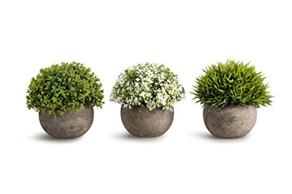 artificial plastic mini plants unique fake fresh green grass flower in gray pot for home décor – set of 3 colorful
artificial plastic mini plants unique fake fresh green grass flower in gray pot for home décor – set of 3 colorful