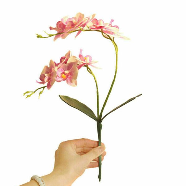 butterfly orchid flower decoration bouquet artificial traditional craft wedding
butterfly orchid flower decoration bouquet artificial traditional craft wedding
