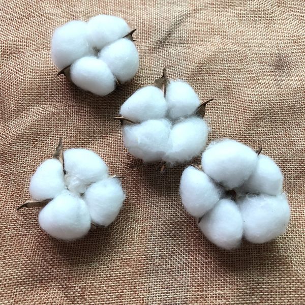 7pcs/lot real cotton flower heads dried flower white cotton christmas wreath decoration maison diy garland wall supplies
7pcs/lot real cotton flower heads dried flower white cotton christmas wreath decoration maison diy garland wall supplies