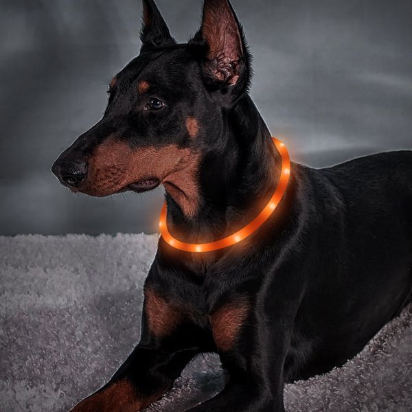 led ошейник, usb аккумуляторная, светящиеся pet ошейник для ночного безопасности, моды свет воротник для малых средних больших собак
led ошейник, usb аккумуляторная, светящиеся pet ошейник для ночного безопасности, моды свет воротник для малых средних больших собак