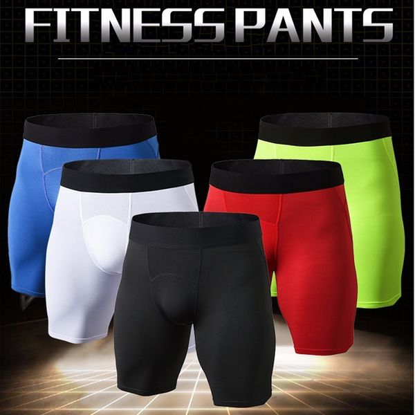 mens 3 pcs gym leggings men compression crossfit football trousers quick dry jogging pantalones dry running shorts, Black;blue
mens 3 pcs gym leggings men compression crossfit football trousers quick dry jogging pantalones dry running shorts, Black;blue