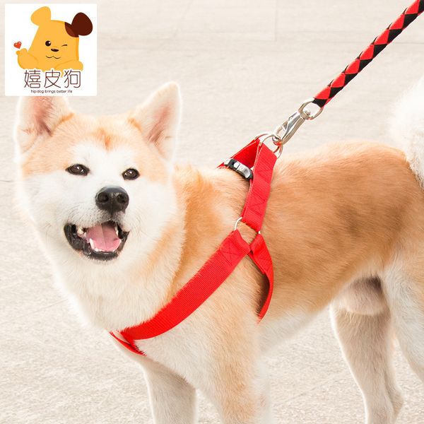 three-piece dog collars, small medium and large dog, golden-haired dog chain, leash necklace rope
three-piece dog collars, small medium and large dog, golden-haired dog chain, leash necklace rope