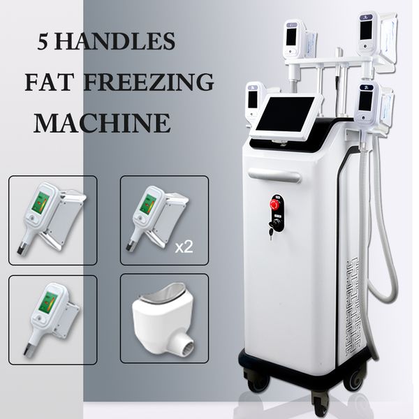 fda approved cryotherapy cooling machine e fat cryotherapy liposuction massage body slimming machine 360° cryo double chin removal
fda approved cryotherapy cooling machine e fat cryotherapy liposuction massage body slimming machine 360° cryo double chin removal