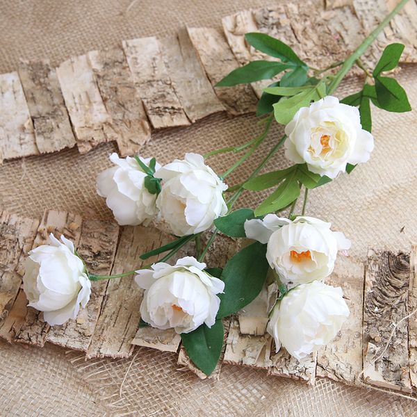 5pcs/lot artificial peony silk flower branch simulation fake peony bouquet for home decoration wedding decoration flower wall
5pcs/lot artificial peony silk flower branch simulation fake peony bouquet for home decoration wedding decoration flower wall