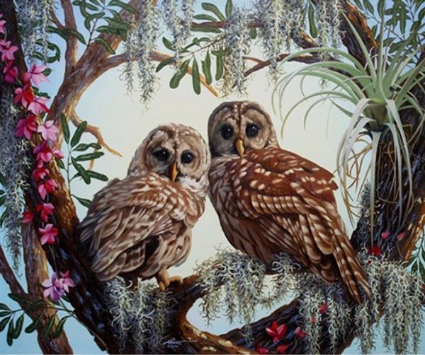 full square/round drill 5d diy diamond painting "owl" embroidery cross stitch mosaic home decor art experience toys gift a0372
full square/round drill 5d diy diamond painting "owl" embroidery cross stitch mosaic home decor art experience toys gift a0372