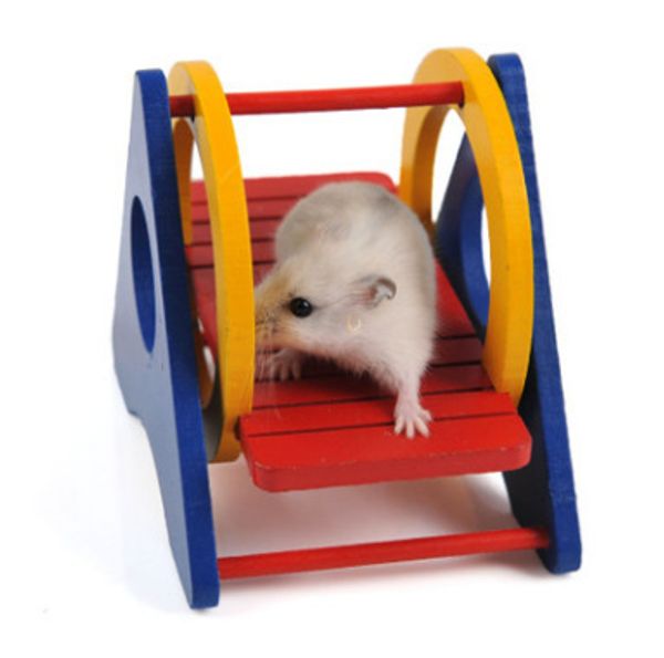 agent quality goods hamster rainbow swing shaky swing small pets case nest woodiness toys
agent quality goods hamster rainbow swing shaky swing small pets case nest woodiness toys