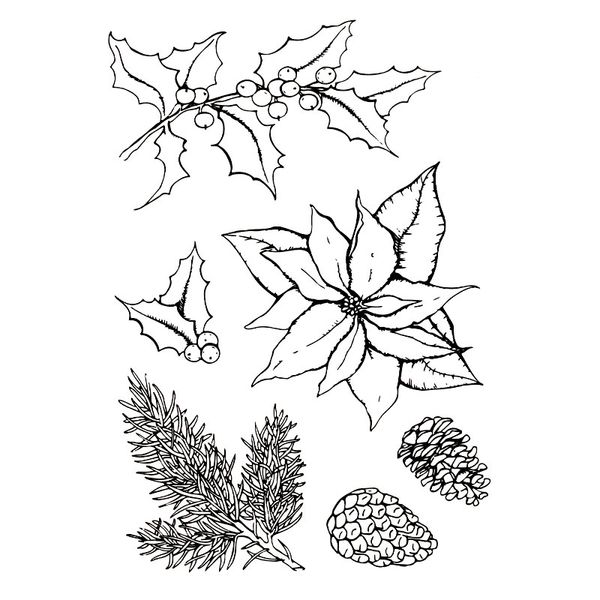 news pineal fruit pine leaves scrapbook diy p cards account rubber stamp clear stamps transparent stamp card stamper
news pineal fruit pine leaves scrapbook diy p cards account rubber stamp clear stamps transparent stamp card stamper