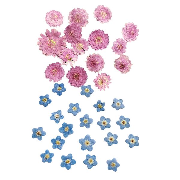 20pcs pressed dried flower leaf for jewelry phone case greeting card diy decor
20pcs pressed dried flower leaf for jewelry phone case greeting card diy decor