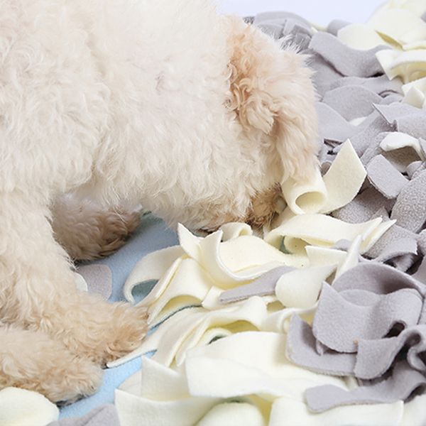 gomaomi dog snuffle mat nosework blanket pet training mats dog feeding mat pet activity mat great for stress release
gomaomi dog snuffle mat nosework blanket pet training mats dog feeding mat pet activity mat great for stress release