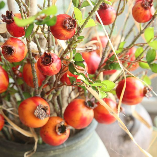 fake artificial rose fruit pomegranate berries bouquet floral garden home decor for home wedding decoration indoor mariage decor
fake artificial rose fruit pomegranate berries bouquet floral garden home decor for home wedding decoration indoor mariage decor