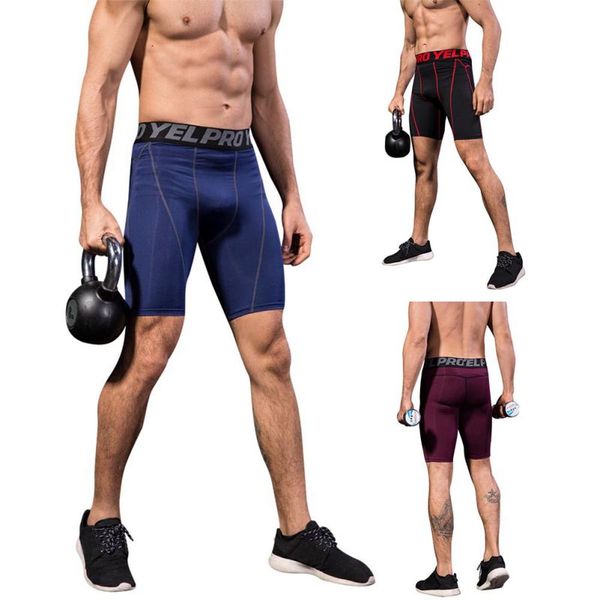 cycling running shorts fitness running training shorts breathable and quick-drying stretch, Black;blue