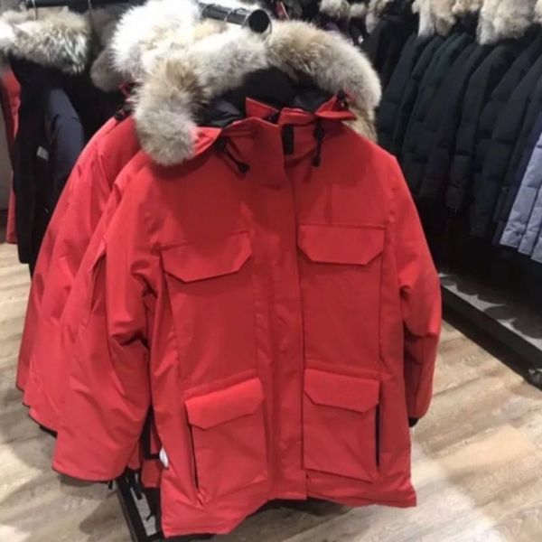 bomber jacket for women real wolf fur hooded 80% white goose down ladies parka street style outdoor cape overcoat, Black
bomber jacket for women real wolf fur hooded 80% white goose down ladies parka street style outdoor cape overcoat, Black