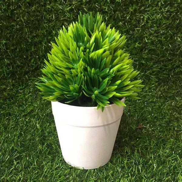 simulation artificial plastic flower succulent plant with pot bonsai home balcony office deskdecor home ornament decoration
simulation artificial plastic flower succulent plant with pot bonsai home balcony office deskdecor home ornament decoration