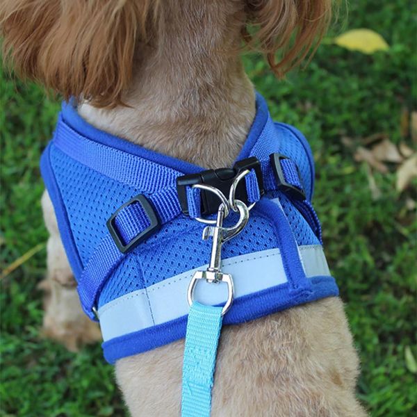 1 pcs pets puppy dog soft mesh walking chest collar strap durable outdoor vest dog supplies product for your pet
1 pcs pets puppy dog soft mesh walking chest collar strap durable outdoor vest dog supplies product for your pet