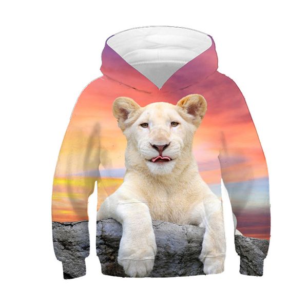 2019 children brand new fashion 3d sweatshirts boy/girl lovely animal lion print hoodies kids autumn winter hooded pullover, Black
2019 children brand new fashion 3d sweatshirts boy/girl lovely animal lion print hoodies kids autumn winter hooded pullover, Black