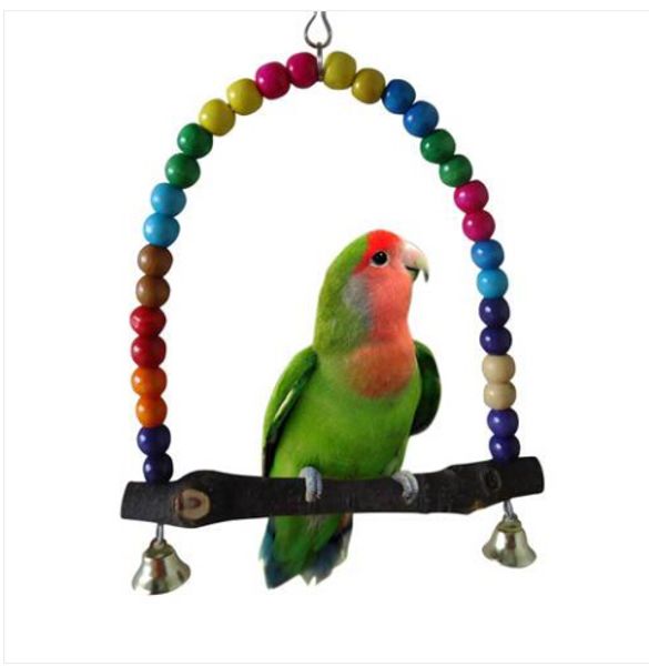 wholesales 2019 parrot swing pet toy colorful bird parakeet budgie lovebird wood
wholesales 2019 parrot swing pet toy colorful bird parakeet budgie lovebird wood
