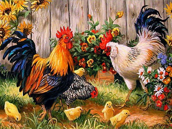 diy 5d diamond painting by number kit full drill rooster hen chicks embroidery cross stitch arts craft canvas wall decor
diy 5d diamond painting by number kit full drill rooster hen chicks embroidery cross stitch arts craft canvas wall decor