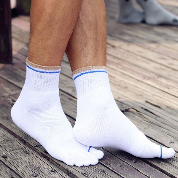 men's soft comfortable breathable cycling socks soft solid cotton male socks high elasticity five fingers men, Black
men's soft comfortable breathable cycling socks soft solid cotton male socks high elasticity five fingers men, Black