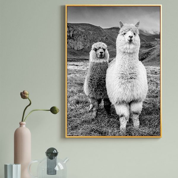 alpaca poster canvas art painting animal prints wall art decorative picture llama black and white wall kids room decor cuadros
alpaca poster canvas art painting animal prints wall art decorative picture llama black and white wall kids room decor cuadros