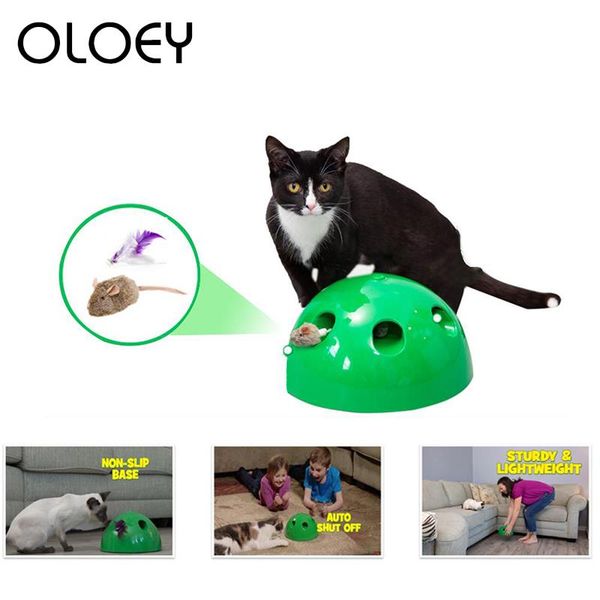 cat toy n play funny cat interactive toy false mouse scratching device for sharpen claw training playing pet product
cat toy n play funny cat interactive toy false mouse scratching device for sharpen claw training playing pet product
