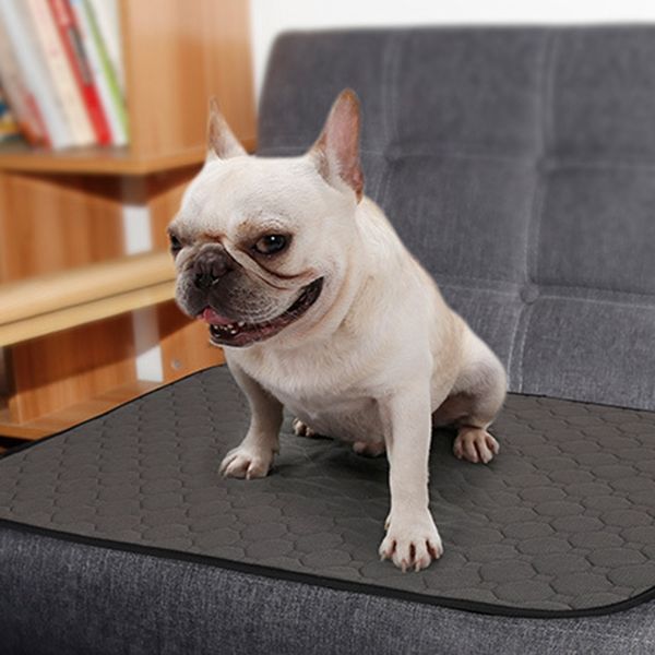 eleg-absorbent urine pads diapers waterproof washable reusable environment protection diaper mat for small dogs, rabbit, cats
eleg-absorbent urine pads diapers waterproof washable reusable environment protection diaper mat for small dogs, rabbit, cats
