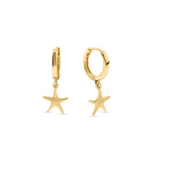 lozrunve 925 sterling silver plain starfish star earrings factory wholesale