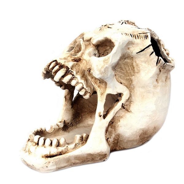 office deskstorage box stationery halloween horror head skeleton pen holder halloween gift home decoration
office deskstorage box stationery halloween horror head skeleton pen holder halloween gift home decoration