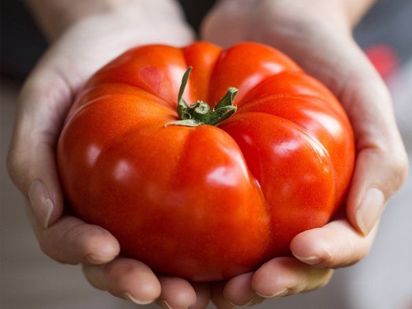 100 Seeds/Pack, Bonsai Giant Tomato Seeds, Delicious fruit tomato, Non-GMO vegetables Edible food balcony potted garden plants
100 Seeds/Pack, Bonsai Giant Tomato Seeds, Delicious fruit tomato, Non-GMO vegetables Edible food balcony potted garden plants