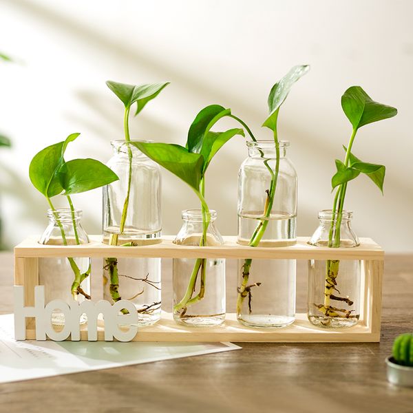 glass hydroponic bottle transparent flower vase with wooden frame support tablecreative home garden coffee shop room decor
glass hydroponic bottle transparent flower vase with wooden frame support tablecreative home garden coffee shop room decor