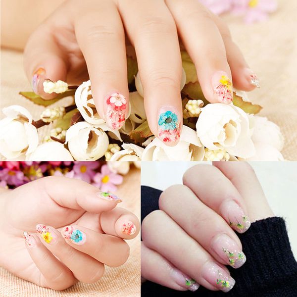 newly 12 colors diy nail art mixed dried flowers with bottle 3d dry flower decoration nails stickers manicure tips cla88, Black
newly 12 colors diy nail art mixed dried flowers with bottle 3d dry flower decoration nails stickers manicure tips cla88, Black