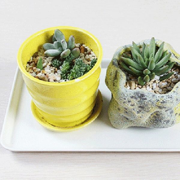 ресторан пластиковые быстрого приготовления tray посуда для чая / cake кухня бар посуда european hotel long латы десерт торт лоток
ресторан пластиковые быстрого приготовления tray посуда для чая / cake кухня бар посуда european hotel long латы десерт торт лоток